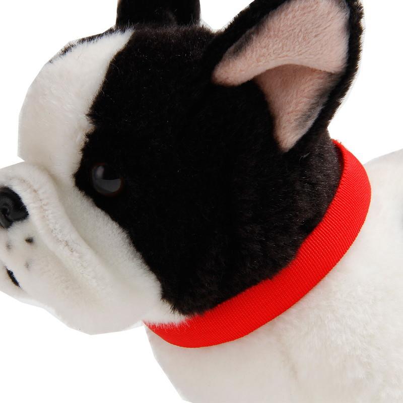 首輪 犬用 単品 LEDライト 光る ドッグ イヌ わんこ ペット用品 ペット用首輪 電池式 お散歩 夜間 早朝 夕方 アウトドア 小型犬 中型犬 ネ