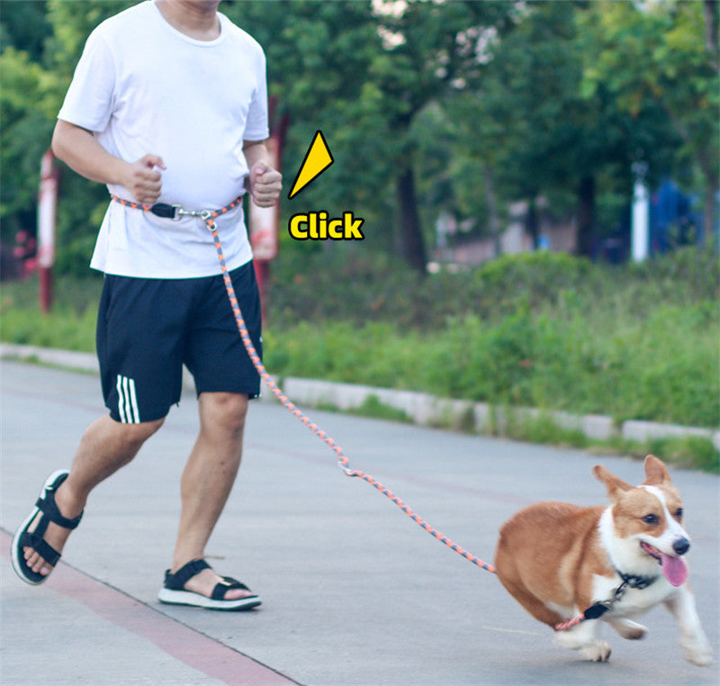犬 リード 2.6m ショルダーリード 肩掛けリード 2頭引き リード ロングリード 反射機能 小型犬 中型犬 散歩 コンパクト 長い 多頭飼い