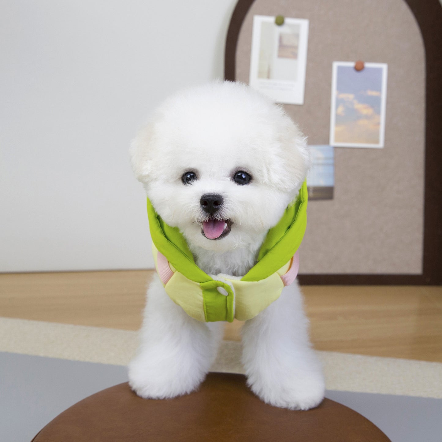 猫 犬 洋服 犬服 ペット服 大中小型犬 ペット用品 犬/猫用 犬の服 ペットウエア 小型犬 中型犬 通気 可愛い ドッグウェア トレーナー 犬 服 ワンピース サロペット ビションフリーゼ 犬猫服
