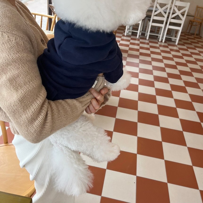 【新作犬猫服 登場】 犬服 ペット服 犬 洋服 春と秋の新しい犬の服小さな子犬のフード付きトレーナー猫アパレル