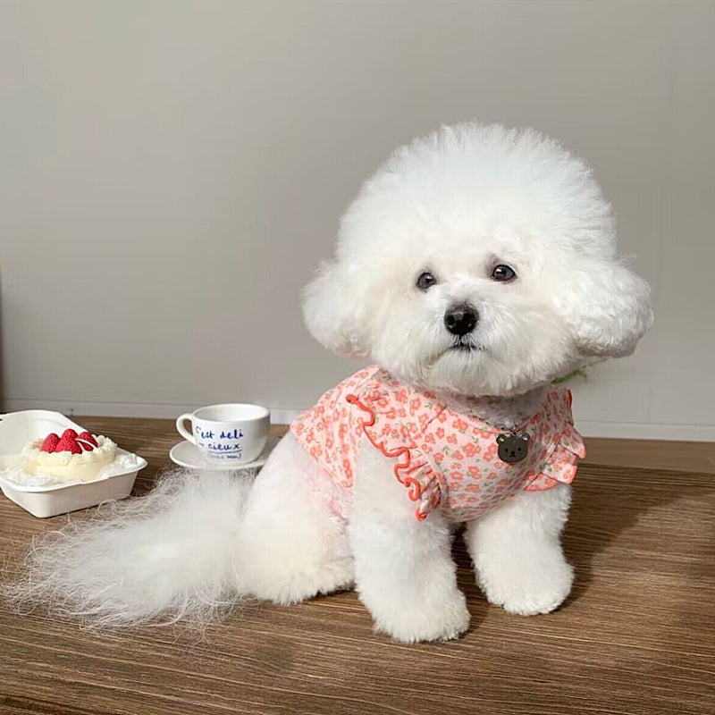 春夏新作 犬服 ペット服 犬 洋服 ペット 犬用品 小中型犬 ペット夏薄型犬猫子犬服