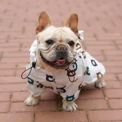 フレンチバケットレインコート子犬防水クマの服犬のとの薄いセクションの小型犬の子犬の傘