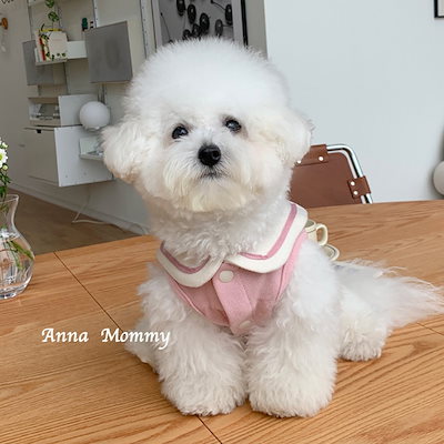 2025新作春秋 ペット服/犬猫服 犬 洋服/犬用品 /小中型犬 春夏ペット服 犬服 服装 猫服 かわいい