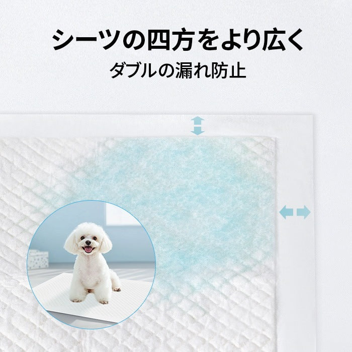 <a href="https://www.qoo10.jp/gmkt.inc/Search/brand.aspx?brandno=109151" target="_blank" class="title_brand" id="btn_brand" title="Honeycare">Honeycare</a>急速発送 ペットシーツ 中厚型 レギュラー 100枚 ワイド 50枚 スーパーワイド 25枚 トイレシーツ ペットシート 犬 猫 トイレ用品
