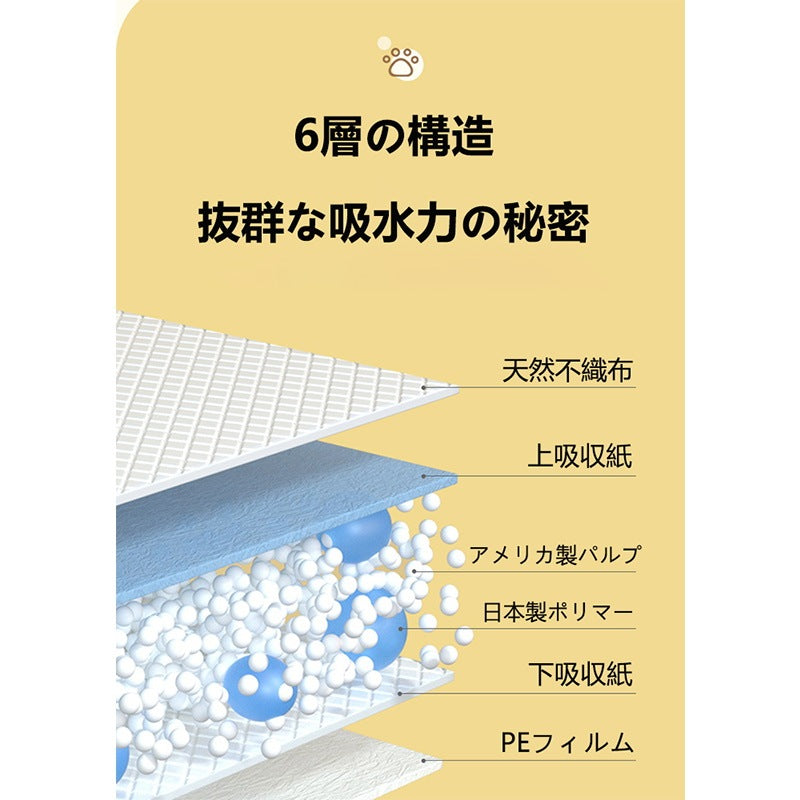<a href="https://www.qoo10.jp/gmkt.inc/Search/brand.aspx?brandno=109151" target="_blank" class="title_brand" id="btn_brand" title="Honeycare">Honeycare</a>ペットシーツ 薄型 ペットシート 犬猫 サイズ選択可 レギュラー 800枚 ケース販売
