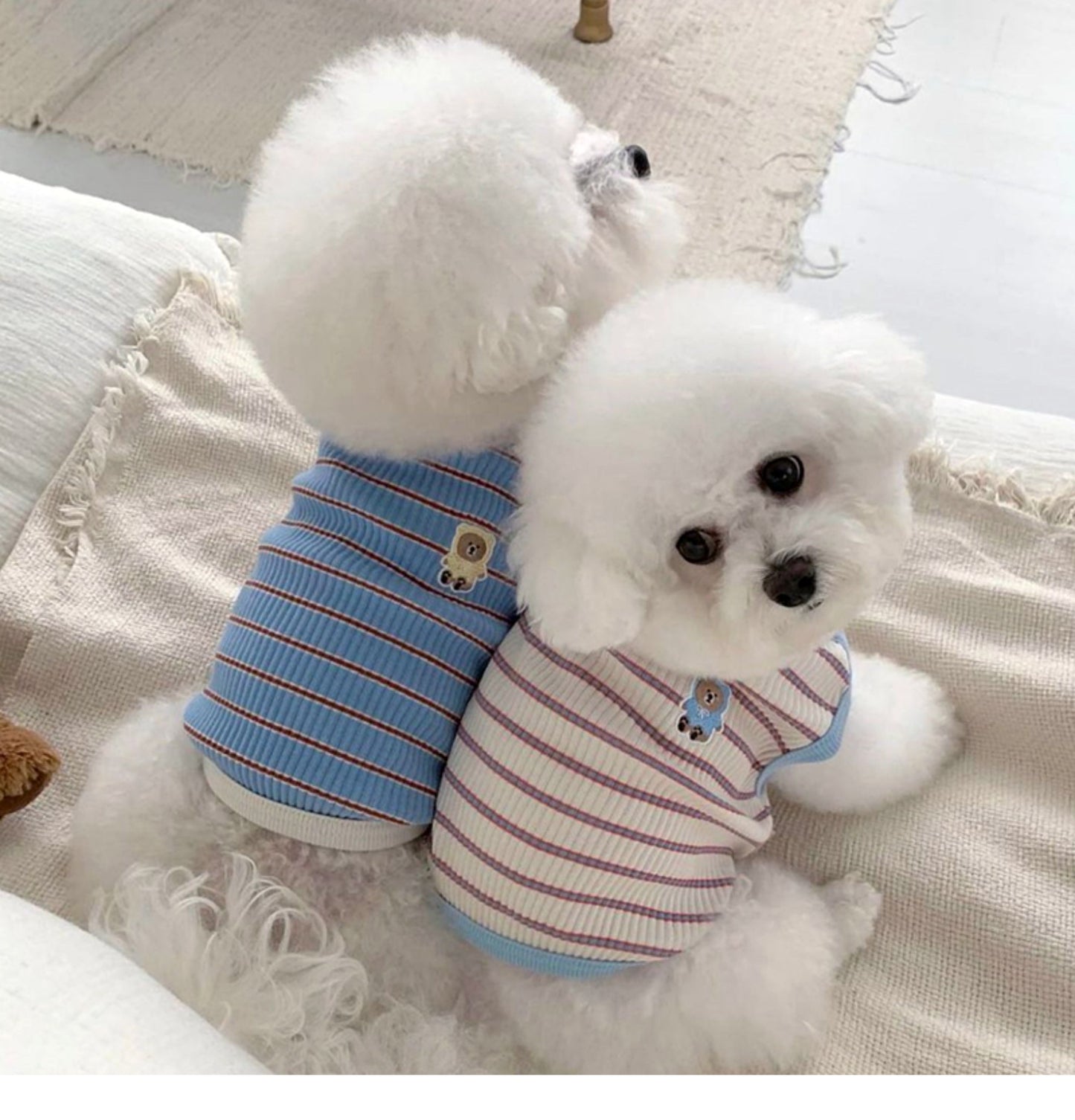 春夏新作 犬服 ペット服 犬 洋服 ペット 犬用品 小中型犬 夏薄型ペットベスト猫小型子犬犬服夏