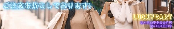 【即納】アイリスオーヤマ ヘルシーステップ 10歳以上用ビーフ&野菜 犬用 375g24個セット