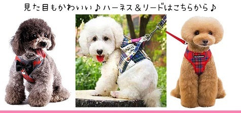 革 猫 首輪 子犬 猫の首輪 レザー 猫首輪 小型犬首輪 犬首輪 子猫 和柄 蝶ネクタイ リボン おしゃれ 中型犬首輪 犬 安全 小型犬 犬の首輪 かわいい 中型犬