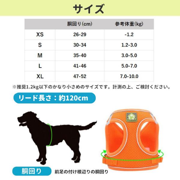 胴輪 中型犬 ハーネス おしゃれ リード付き 脱げない 大型犬 犬 簡単装着 小型犬 光る 首輪