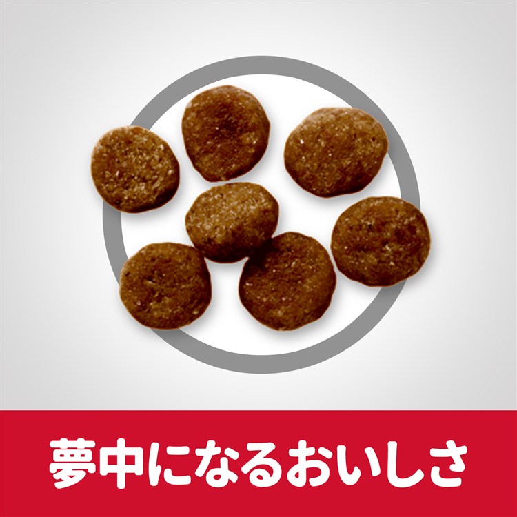 ドッグフード 犬 ヒルズ アダルトライト 小型犬用 1.5kg 肥満傾向の成犬用 16歳 体重管理 太り気味 スモール サイエンスダイエット ドライフード ドライ フード ペット メガ割