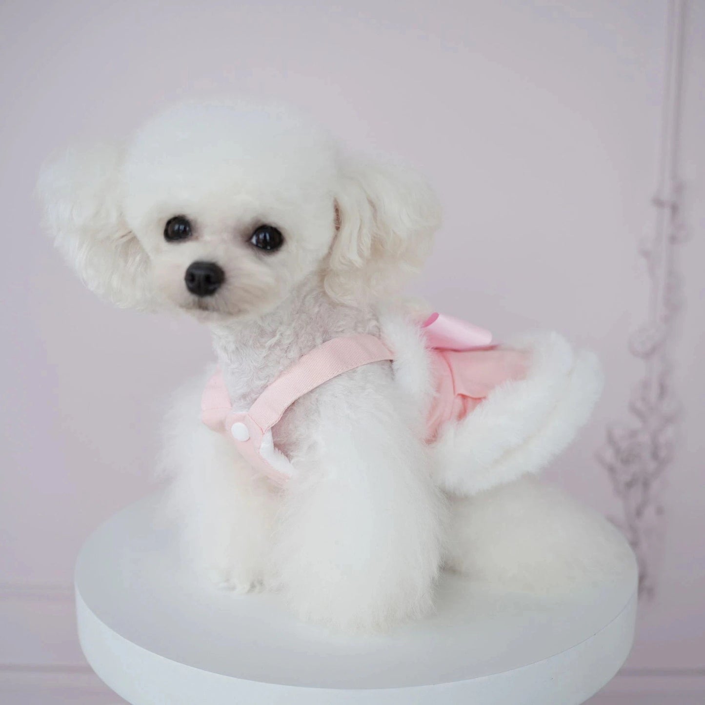 犬の服ペット犬服秋冬新作ファーボーダースリングベアドレステディビションコーギー服
