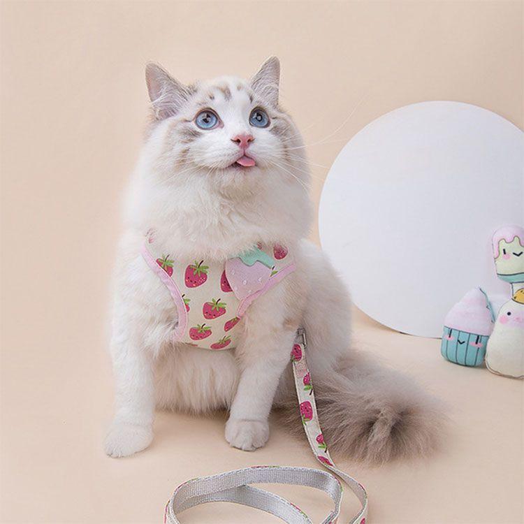 3日以内に出荷 2025新品 2点セット ペット用品 ハーネス リード 猫用 小型犬用 全3色 ポリエステル S ( 15-3kg ) M ( 3-5kg ) L( 5-75kg ) リード長さ12