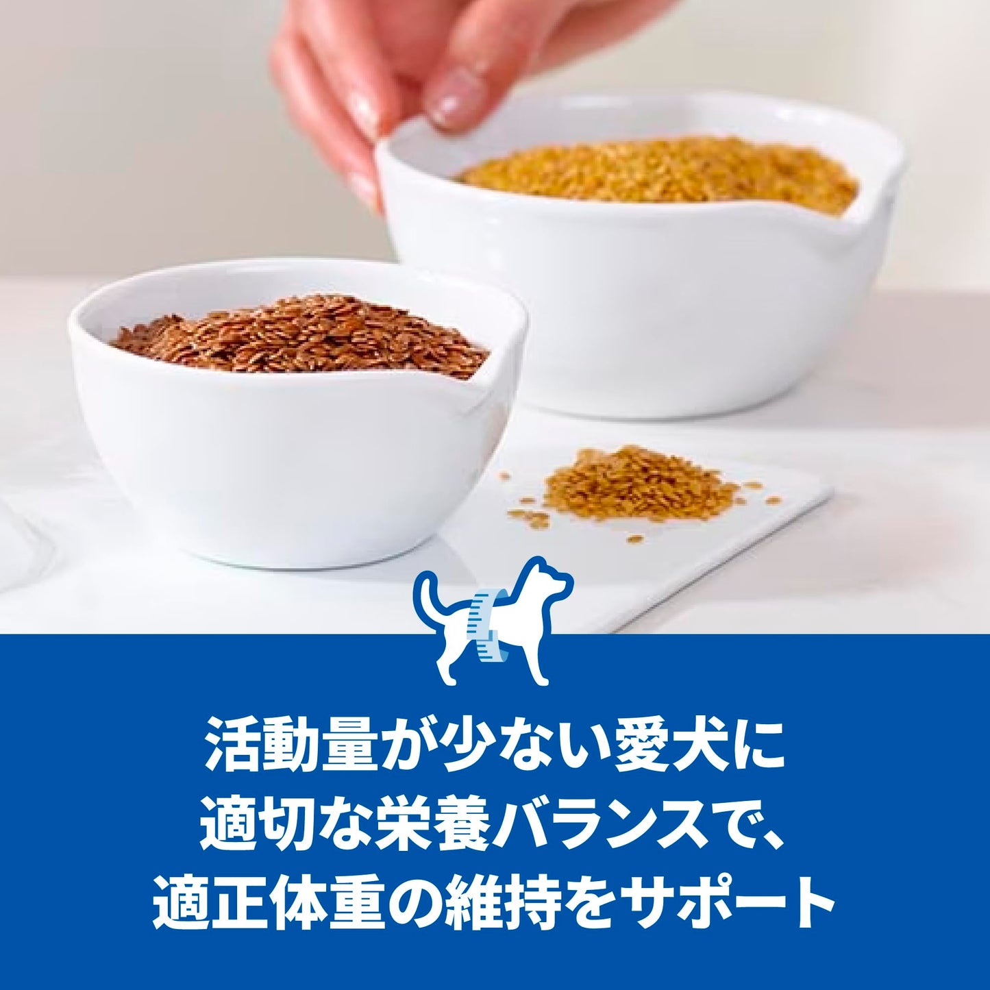 ドッグフード 大型犬用 アダルト ライト 1~5歳 チキン 12kg 成犬用 ドライ 肥満 大容量 大袋