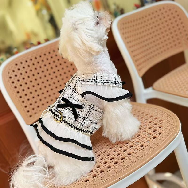 犬の猫の夏の薄いタイプの清新な香りの風は牽引縄を引いて外に出て犬の猫の服を散歩します