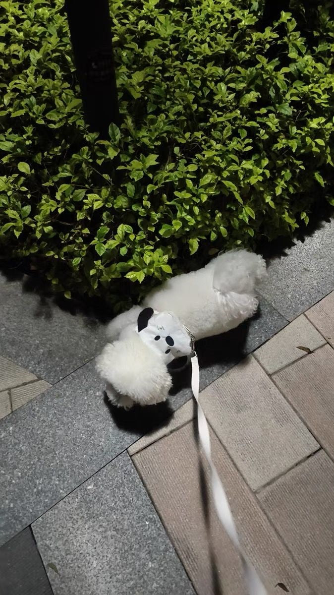 ペットの外出はかわいいですリュックサックの小型カバンは熊のテディの牽引紐の子犬の猫より可愛いです