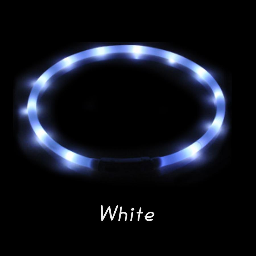 光る首輪 光る 充電式 散歩 首輪 LED おしゃれ 犬 夜 ペット レインボー 猫 USB ライト