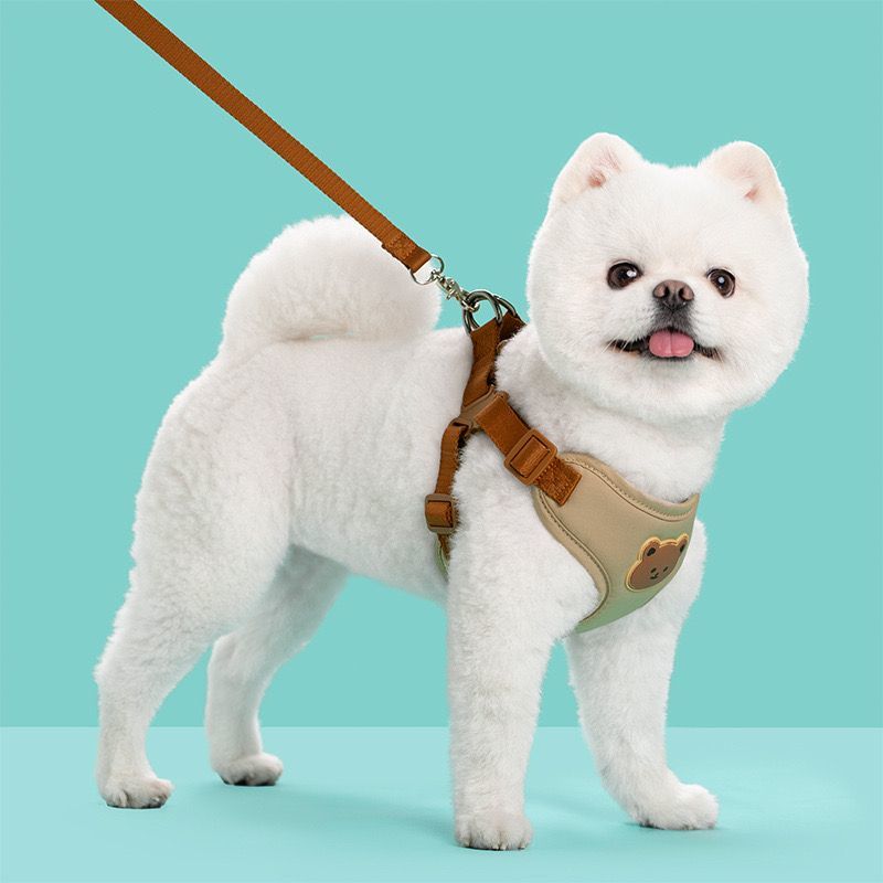 子犬の胸のベルトのベスト式の牽引ロープは犬のひもの小型犬のテディの雪の納瑞比熊を散歩します メガ割ワンピースパンツトートバッグ