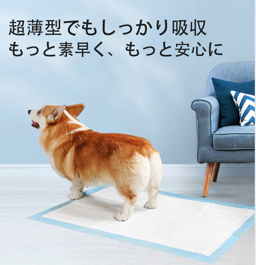 <a href="https://www.qoo10.jp/gmkt.inc/Search/brand.aspx?brandno=109151" target="_blank" class="title_brand" id="btn_brand" title="Honeycare">Honeycare</a>ペットシーツ 超薄型 ペットシート犬猫 サイズ選択可 レギュラー800枚 ワイド400枚 スーパーワイド200枚