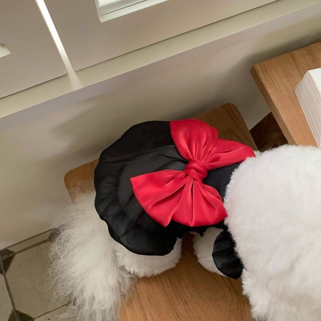ペット服春夏 ペットウェア かわいい 犬猫フライスリーブリボンワンピース糸スカートテディビション小型犬服