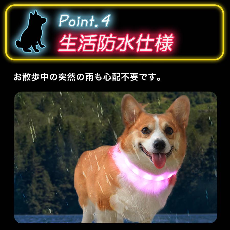光る首輪 光る 充電式 散歩 首輪 LED おしゃれ 犬 夜 ペット レインボー 猫 USB ライト