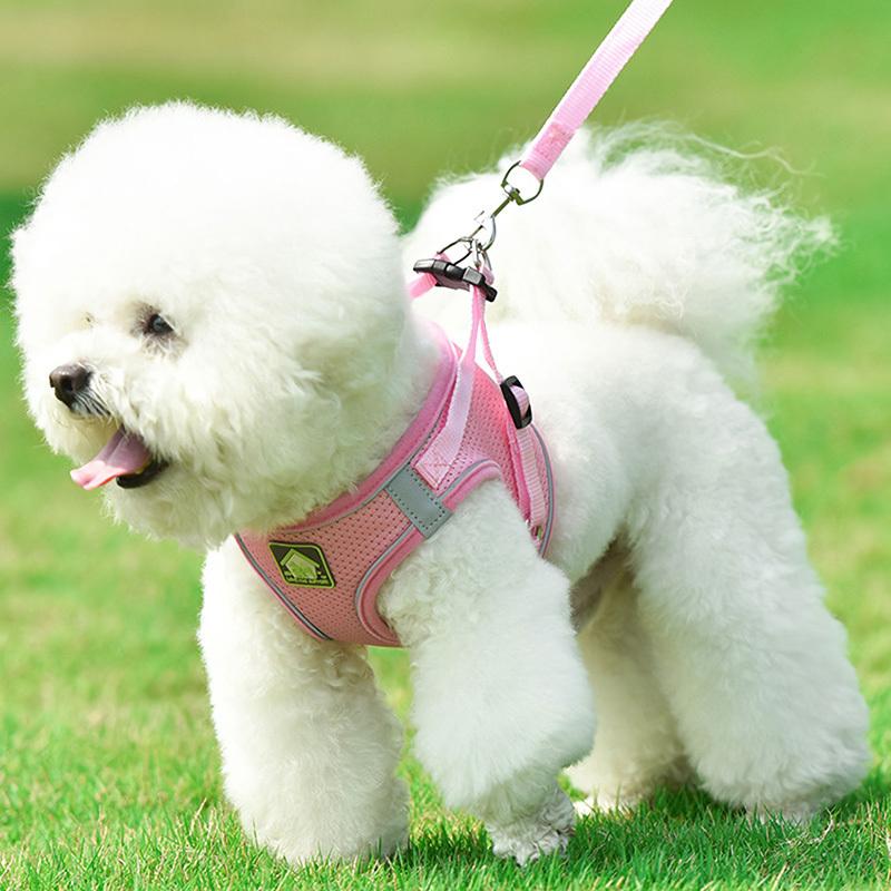 ドッグ z蛍光ハーネスo ハーネス 首輪 小型犬 かわいい おしゃれ リード 脱げない 胴輪 ペット 簡単 光る 犬 散歩 中型犬 お出かけ 超小型犬 y10