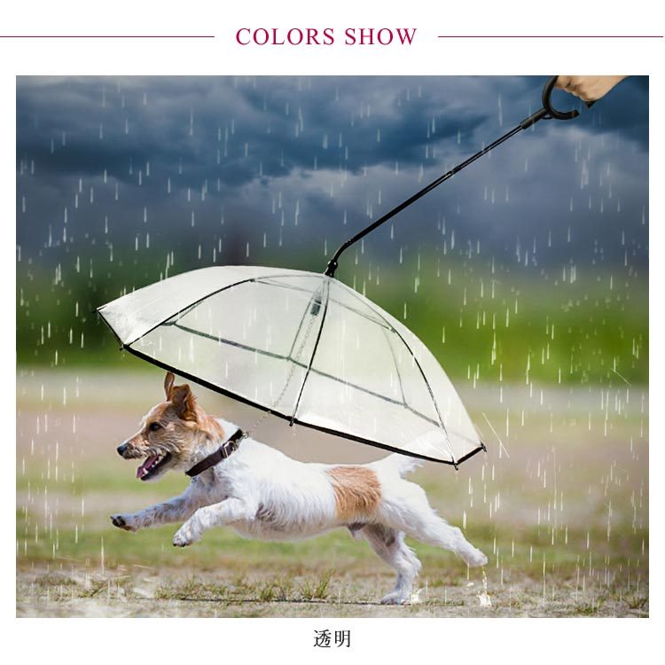 雨具 ペット用 散歩 クリア 犬 中型犬 いぬ お出かけzq リード付き傘 アンブレラ レイングッズ