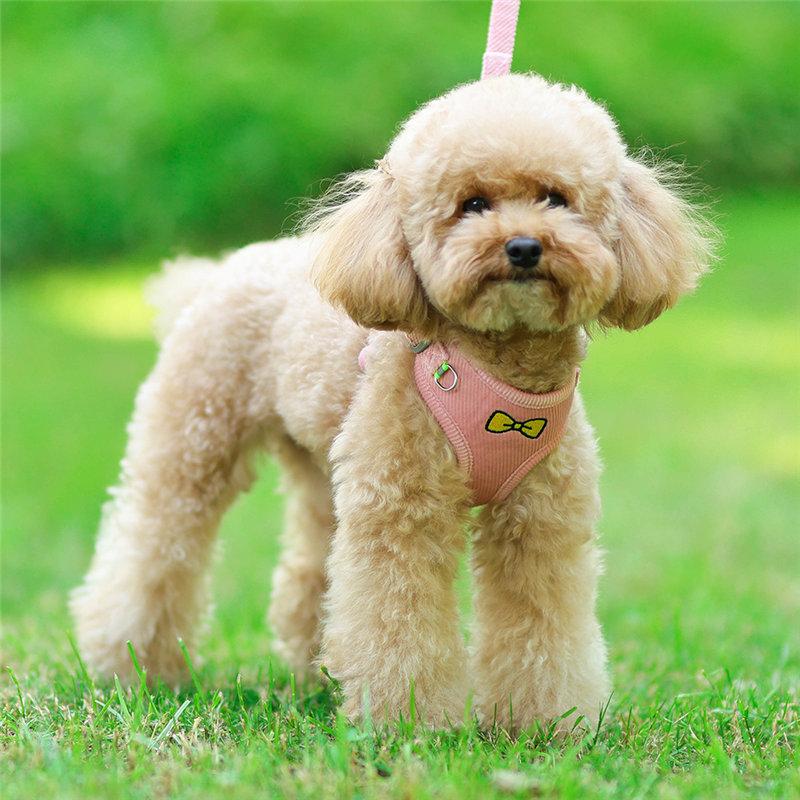 中型犬小型犬散歩グッズ 簡単装着 犬 脱げない 首輪 4カラー 苦しくない ハーネスリードセット おしゃれな