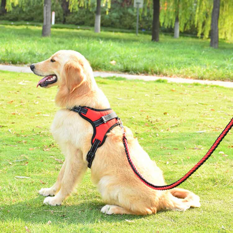 キャンペーンハーネス 犬 大型犬 柴犬 3点セット 抜けない 小型犬 調整可能 ハンドル付き 抜けにくい ハーネスリードセット 3点セット ステップハーネス 脱出防止 ウェアハーネス 犬用 ペットハー