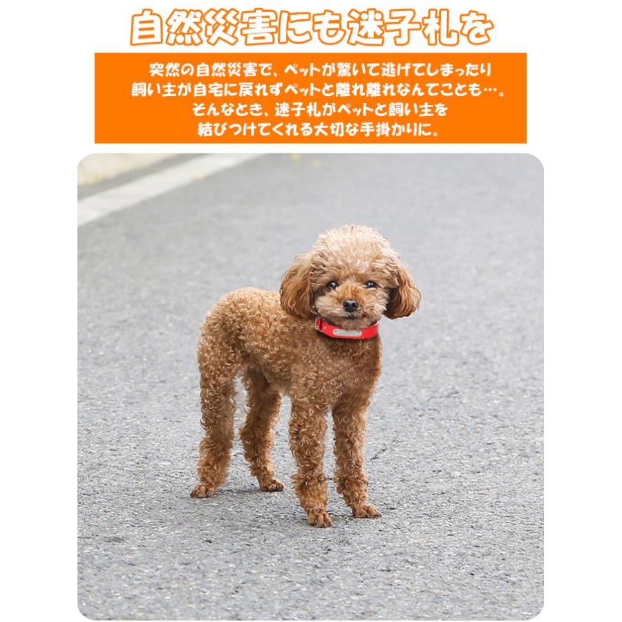 ペット用品 迷子札 ドックタグ 首輪 ネーム入り迷子札チョーカー 高級な質感 お散歩 お出かけ 安心 ネームタグ 名入れ ネーム入れ 刻印 名札
