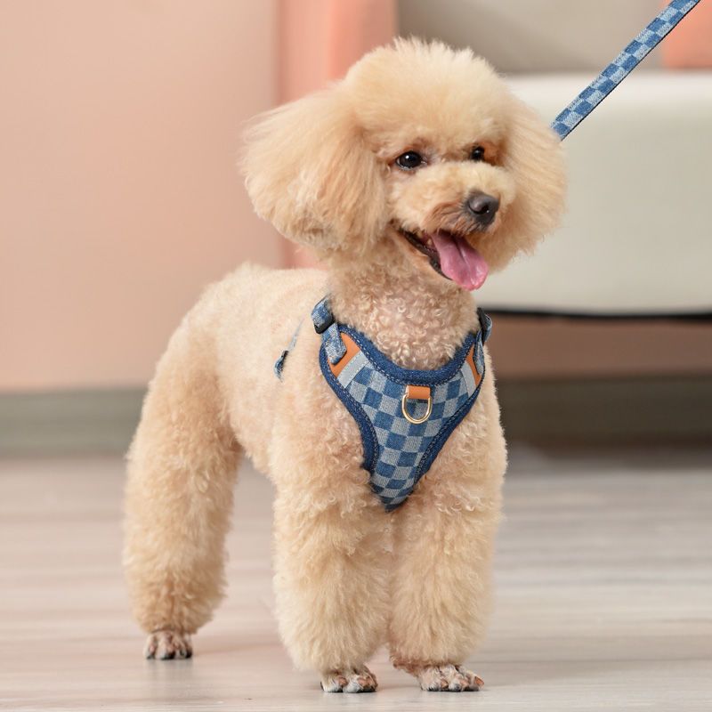小型犬の胸のストラップの犬の牽引縄のテディは熊の貴賓の子犬より犬のひもの犬のチェーンを散歩します