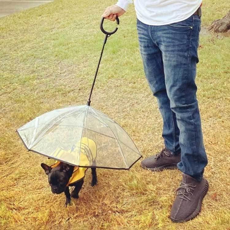 雨具 ペット用 散歩 クリア 犬 中型犬 いぬ お出かけzq リード付き傘 アンブレラ レイングッズ