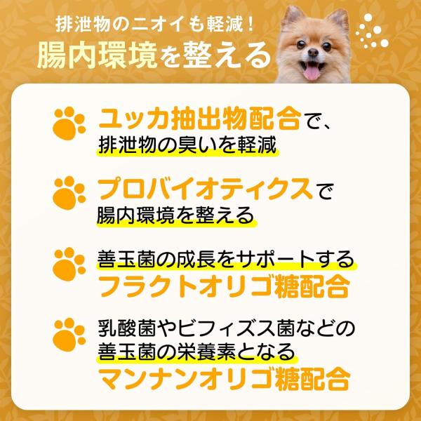 LOT PREMIER ロットプレミア チキン&アガリクス 全犬種 高齢犬7才以上 小粒 500g ドッグフード