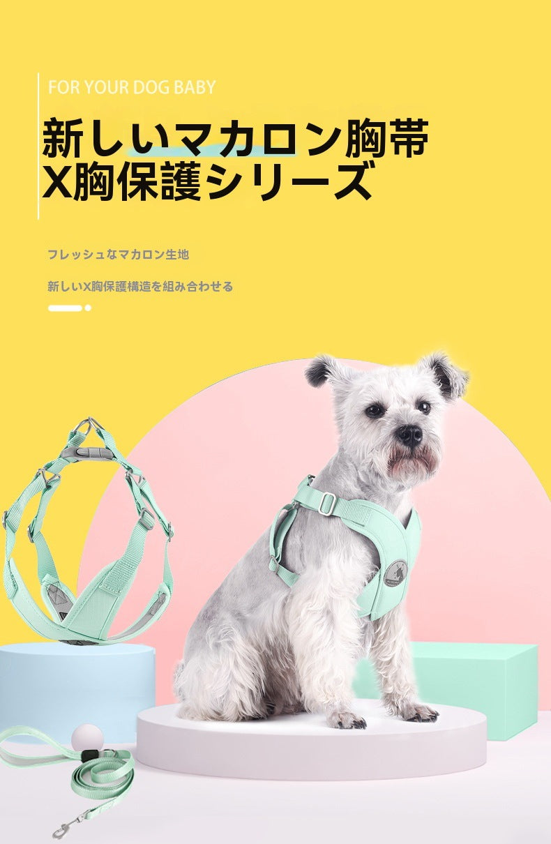 沸騰新柄追加 ハーネス リード 2点セット リーシュ付き 胴輪 ペット用 犬 ドッグ 猫 キャット 牽引紐 動物 小型犬 中型犬 おしゃれ かわいい お散歩グッズquma