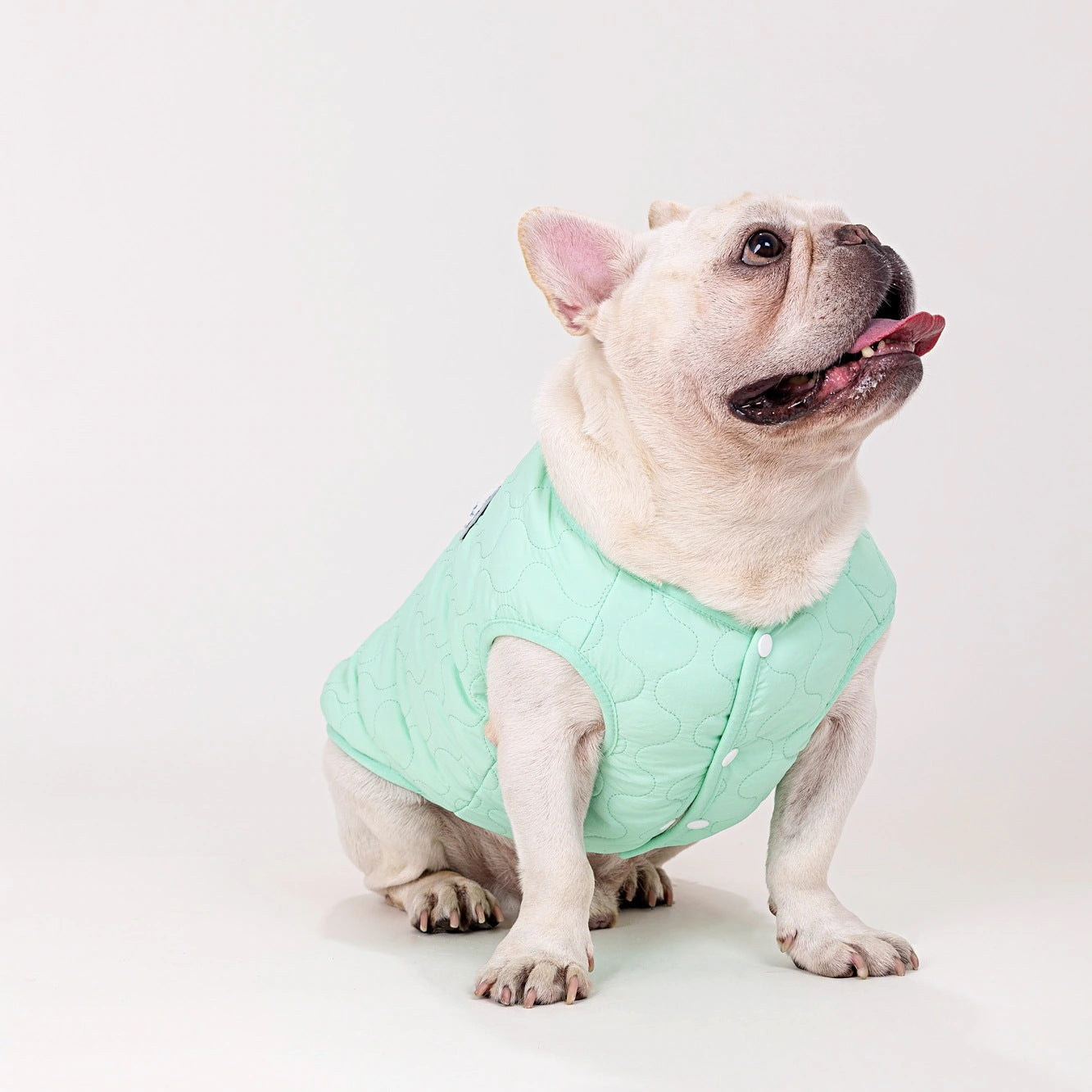 人気ペット服 犬の服 ペットの服 秋冬 ブルドッグモデル ブルドッグ 4色 コットンベスト