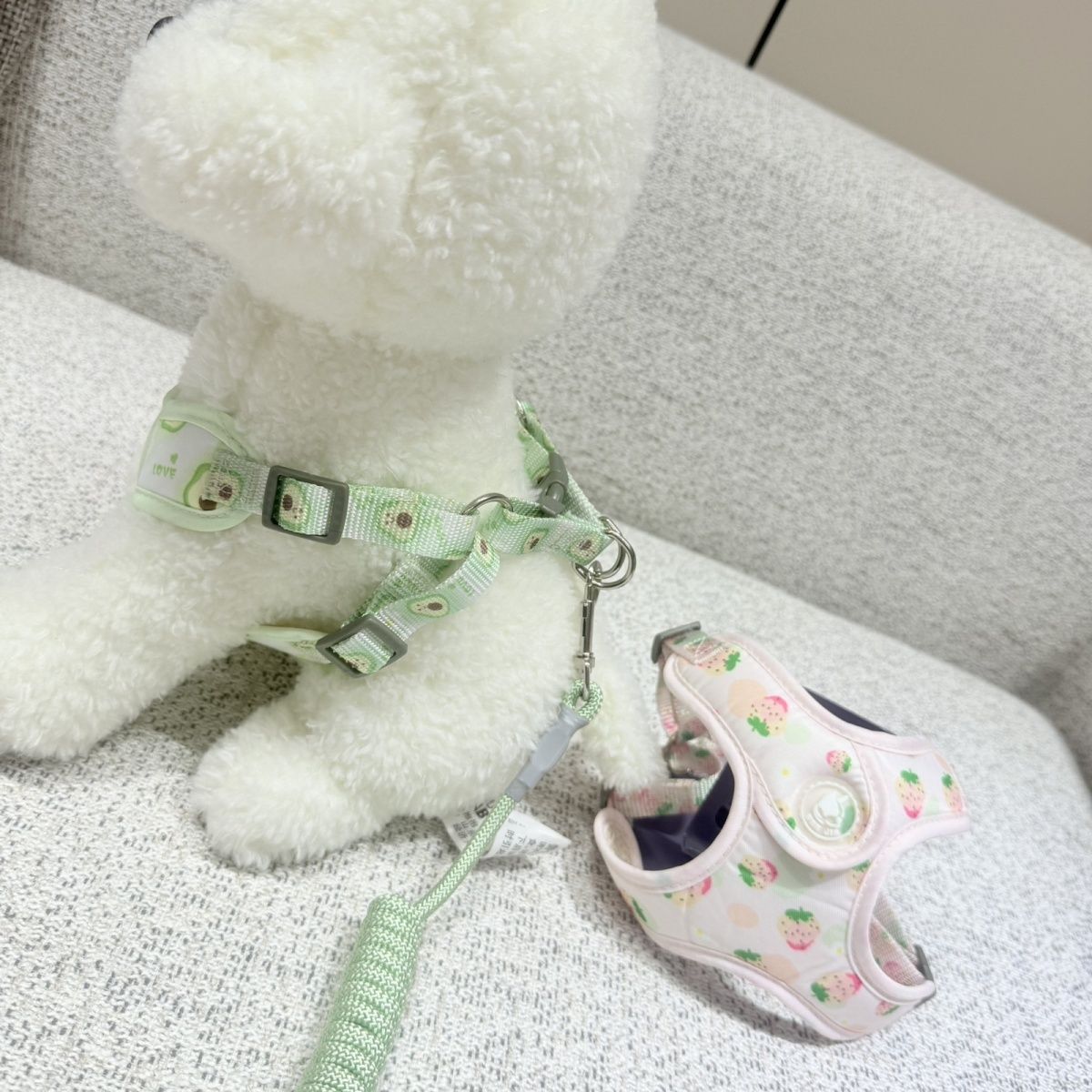 新型伸縮可能な通気性ペットの胸の牽引紐の小型犬は四季を通じて通用します