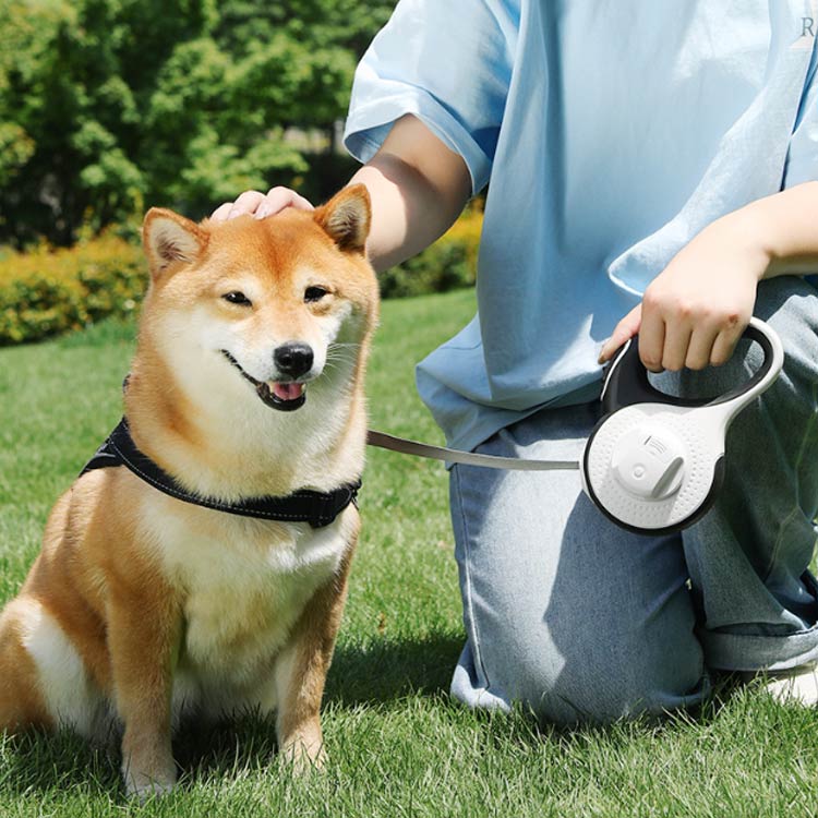 キャンペーン価格パフォーマンス犬用 5m ライト付き ペット巻き取り式 リード 3m ライト付き 伸縮リード 光る ロング 大型犬 中型犬 led ペット用品 反射 長い 散歩 ライト付 かわいい ス