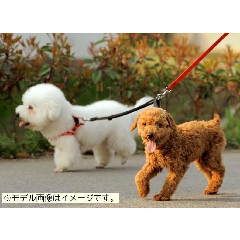 2頭引きリード ダブルリード 犬用 ペット用品 多頭飼い 複数飼い 2匹 二股 シンプル 無地 散歩ひも 散歩グッズ おでかけ 外出 ペットグッズ い