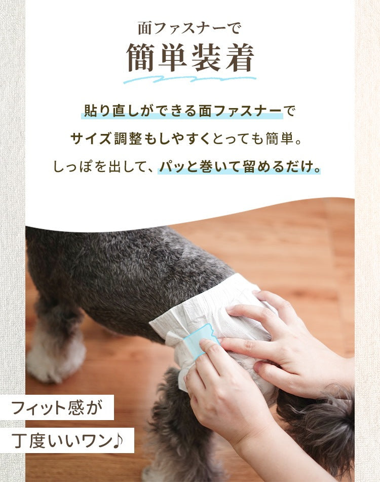 <a href="https://www.qoo10.jp/gmkt.inc/Search/brand.aspx?brandno=114450" target="_blank" class="title_brand" id="btn_brand" title="WEIMALL">WEIMALL</a>犬用おむつ 女の子 ペット 犬用 オムツ カバー 小型犬 小型犬 中型犬 テープ付き 紙オムツ 高齢犬 お出かけ 介護 生理 ナプキン しつけ お漏らし対策 紙おむつ ペットおむつ ペットオムツ