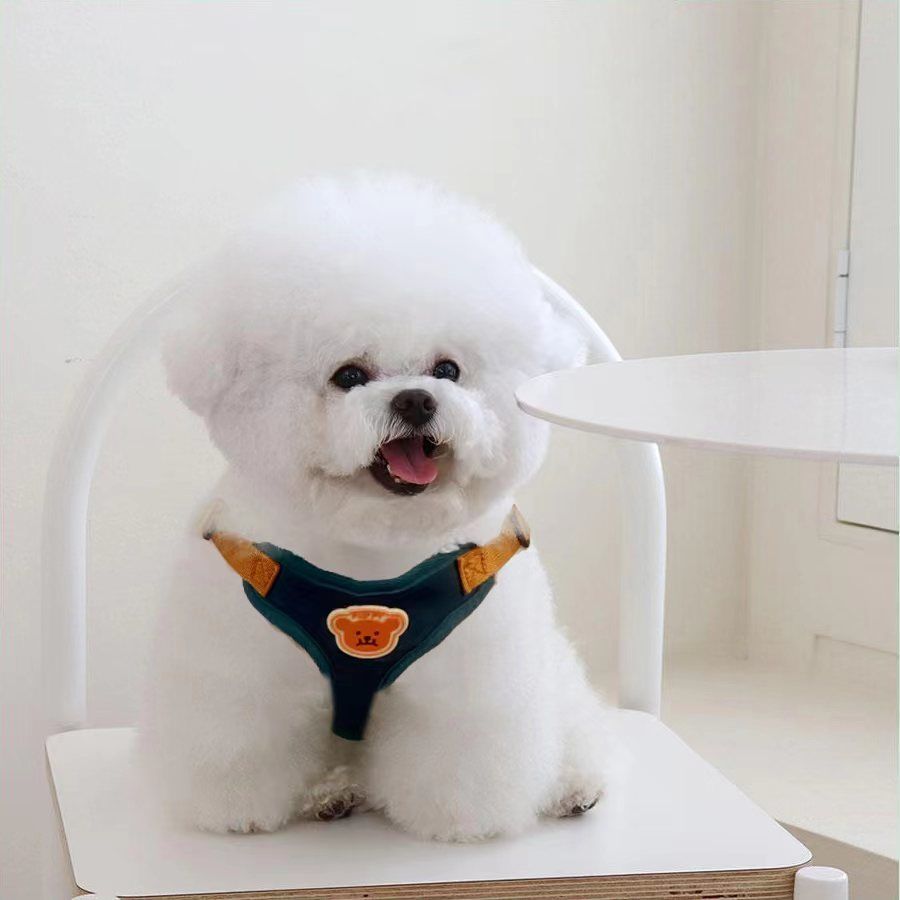 犬牽引ロープベスト小型ドッグラン熊テディ比熊通気ストラップ子犬チェーン調節