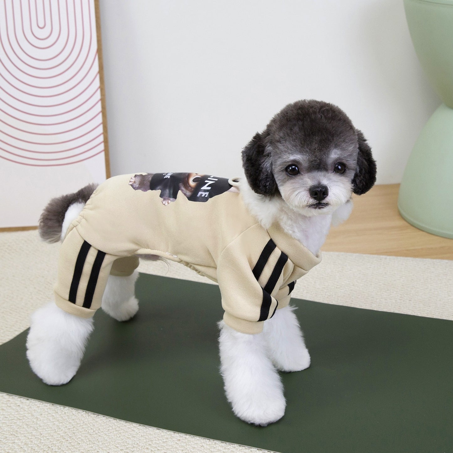 猫 犬 洋服 犬服 ペット服 大中小型犬 ペット用品 犬/猫用 犬の服 ペットウエア 小型犬 中型犬 通気 可愛い ドッグウェア トレーナー 犬 服 ワンピース サロペット ビションフリーゼ 犬猫服