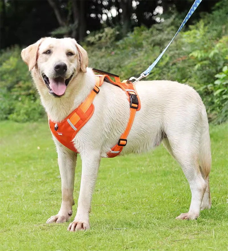 犬ハーネス 犬用 5.0m伸縮紐 犬用胴輪 反射材料付き 装着簡単 喉にやさしい 小型犬 大型犬 散歩/訓練/お出掛 ペット はーねす 安全 抜けない 軽量 調節可能
