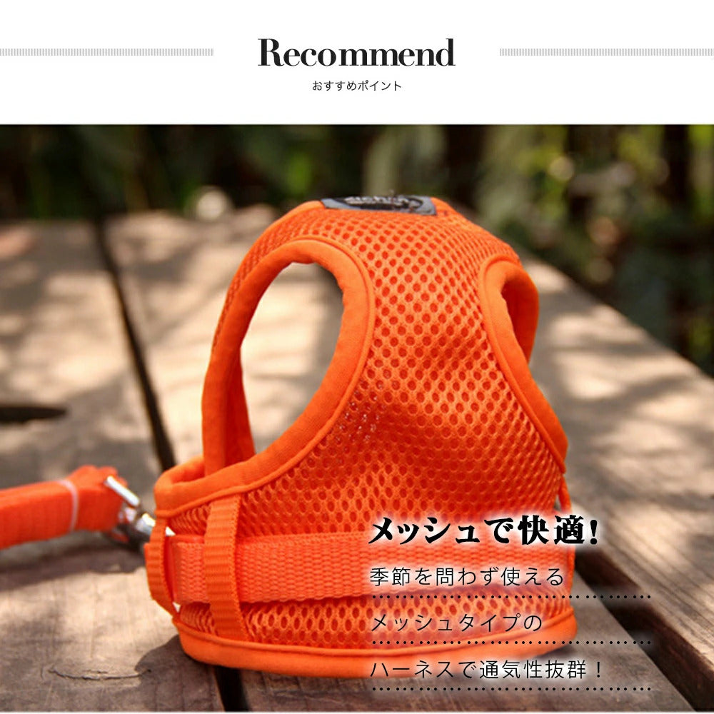 夏の新着商品 ペットハーネス&リードセット ペット ペットグッズ 犬用品 猫用 胴輪リード ハーネスリード 犬 小型犬 中型犬 犬用 猫用 ハーネス 犬具 胴輪 リードセット メッシュ 通気性 オール