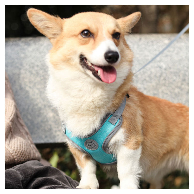 犬具 ハーネスリードセット 小型犬 ドッグ メッシュ ハーネスリード dog ベスト型 胴輪 犬用