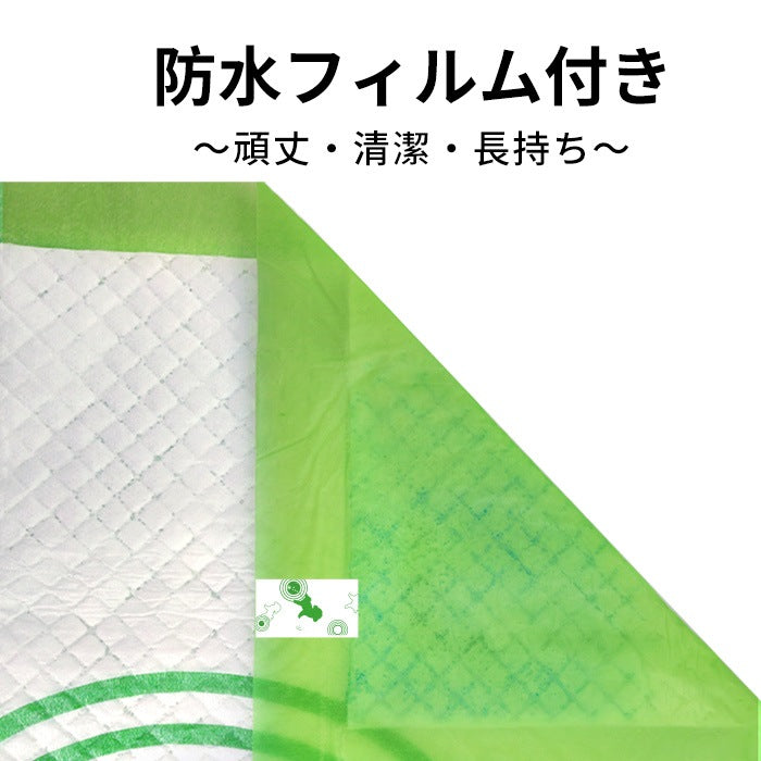 <a href="https://www.qoo10.jp/gmkt.inc/Search/brand.aspx?brandno=109151" target="_blank" class="title_brand" id="btn_brand" title="Honeycare">Honeycare</a>ペットシーツ 中厚型 柄付き レギュラー 80枚/ワイド 40枚/スーパーワイド 20枚 横漏れ防止 トイレシート 犬 猫 ペットシート おしっこシート 瞬間吸水 逆戻り防止 ペット用 しっかり超吸収