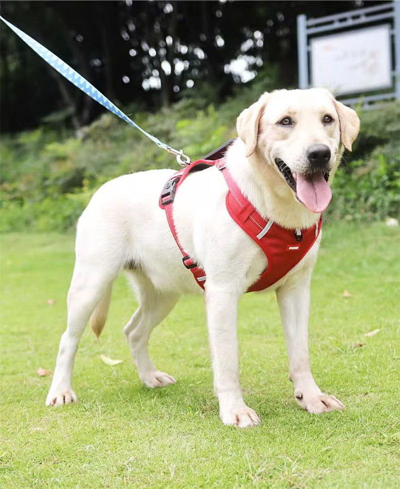 犬ハーネス 犬用 ハーネス 犬用胴輪 反射材料付き 装着簡単 喉にやさしい 小型犬 大型犬 散歩/訓練/お出掛 ペット はーねす 安全 抜けない 軽量 調節可能