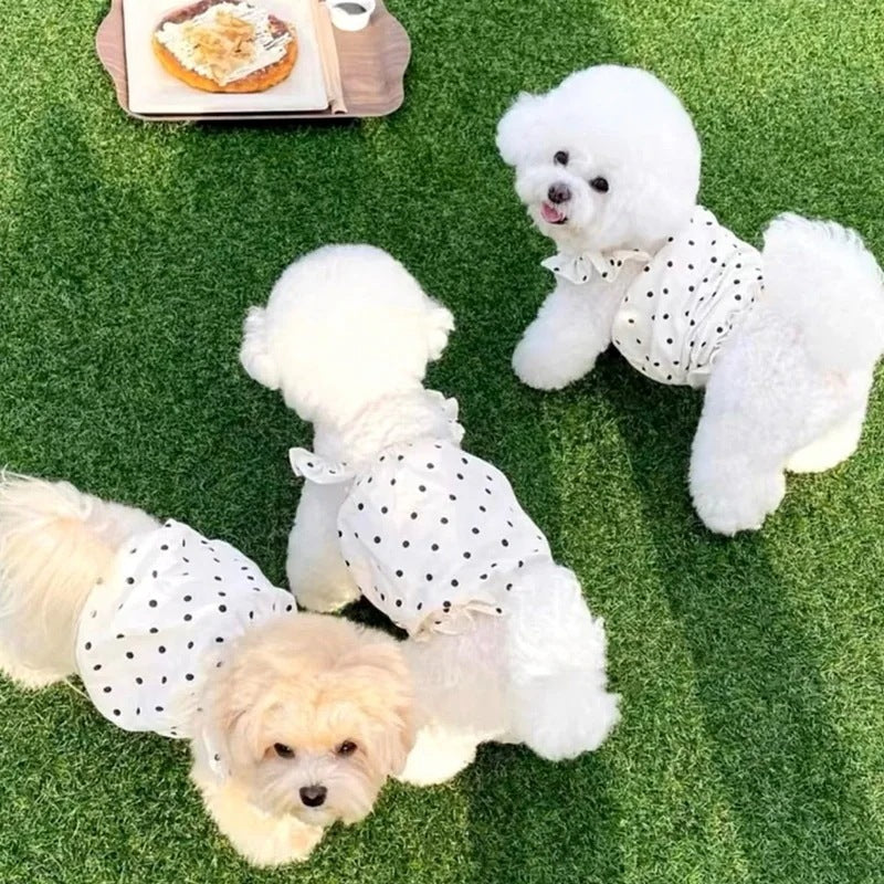 犬 洋服 ペットの子犬の服かわいい水玉模様のドレス春夏薄い