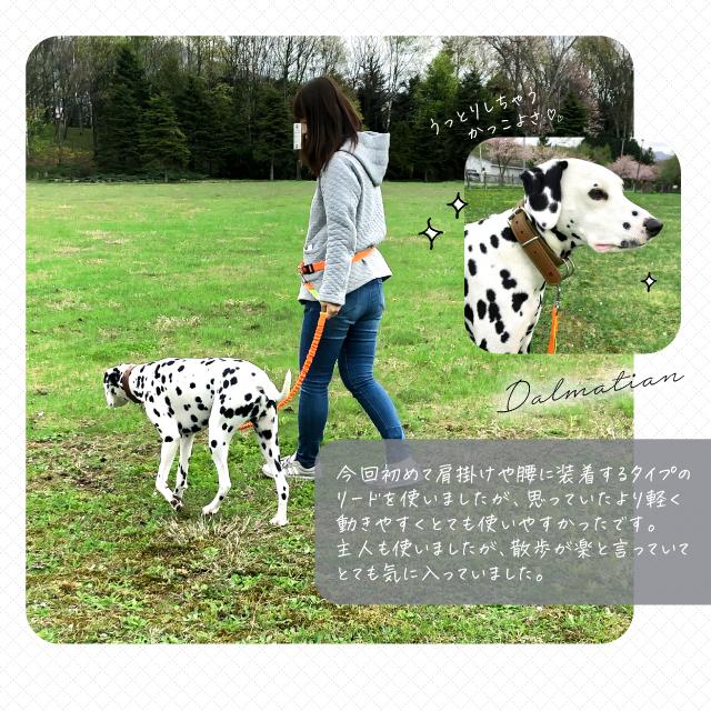 ペット用品 ポール留め 肩掛け 便利 犬 ショルダー ハンズフリー 腰に巻ける マルチ パラシュートコード リード 犬と一緒にランニング 長め ジョギング