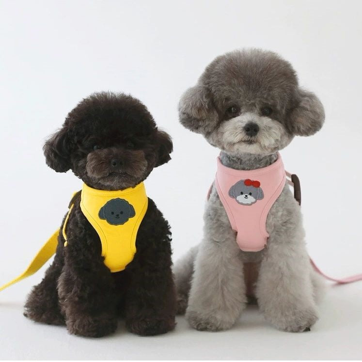 韓国版の中で小型の犬のテディは熊のコーキに比べて外出して犬を散歩します メガ割ワンピースパンツトートバッグ