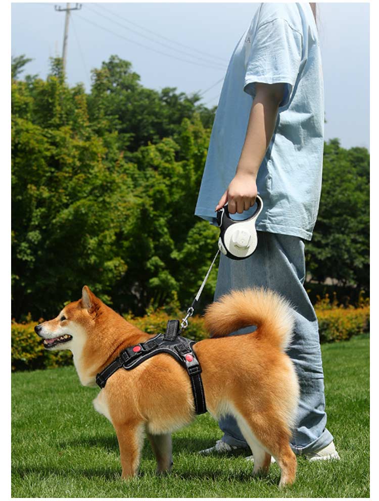 キャンペーン価格パフォーマンス犬用 5m ライト付き ペット巻き取り式 リード 3m ライト付き 伸縮リード 光る ロング 大型犬 中型犬 led ペット用品 反射 長い 散歩 ライト付 かわいい ス
