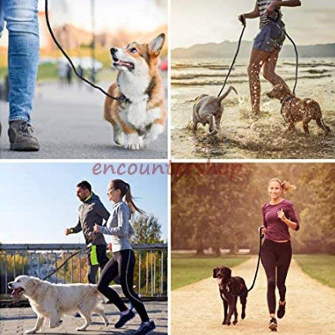 【輸送費無料】リード 犬のリード 犬用リード ペット用リード 夜光材質採用 散歩 小型犬 中型犬 大型犬用 持ち